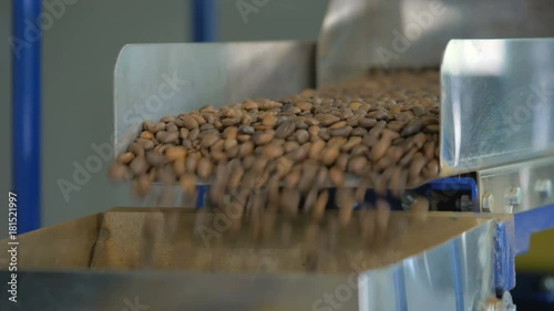 A young guy is packing coffee beans in a package.
