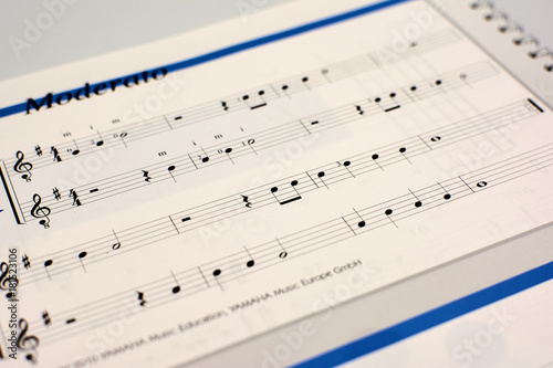 Music score Moderato photo