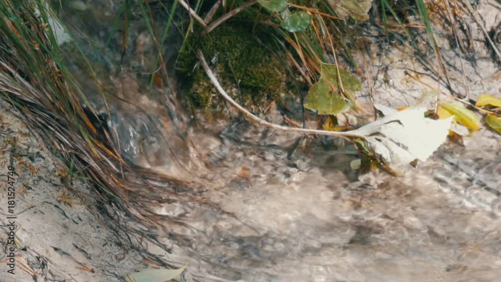 Pure mountain stream with clear water flows through a green area. Pure mountain stream with clear water flows through a green area.