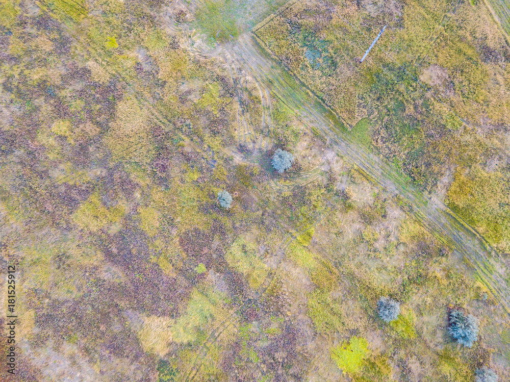 Forest and field with a trail aerial photography
