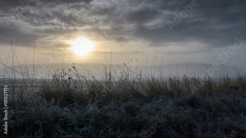 Sunrise in a foggy landscape with cold frosty grass in the foreground.