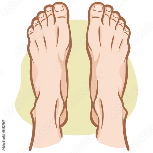 Illustration person, pair of human feet, Caucasian, top view. Ideal for catalogs, informational and institutional guides