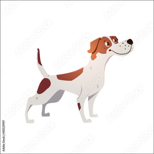 Cheerful dog has cracked on a white background.