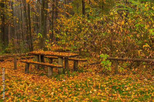 Bench filled with leaves on a rainy autumn day in the Tricity Landscape Park  Gdansk  Poland
