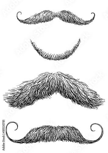 Moustache illustration, drawing, engraving, ink, line art, vector