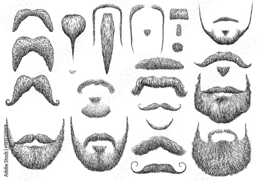 Tela Beard illustration, drawing, engraving, ink, line art, vector