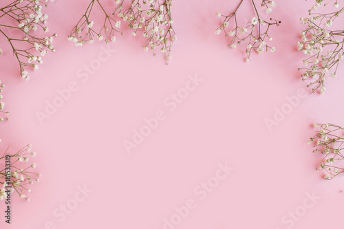 Gypsophila on a pink background
