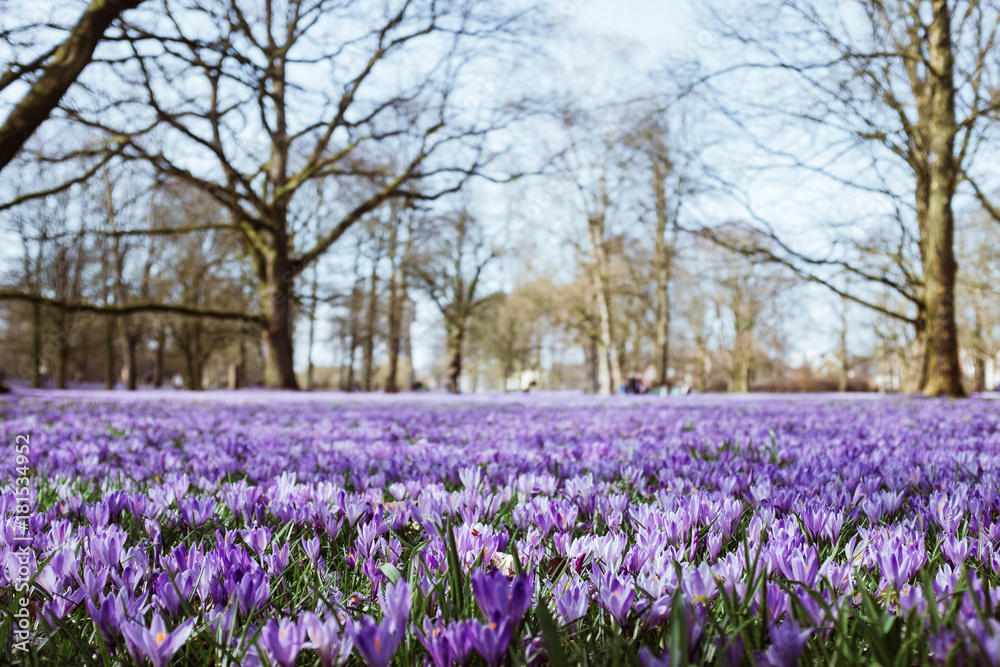 Spaziergang durch Husum Spaziergang durch Husum