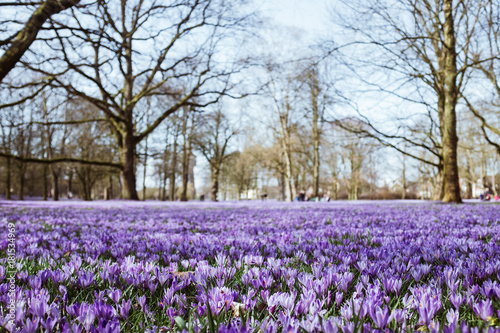 Spaziergang durch Husum