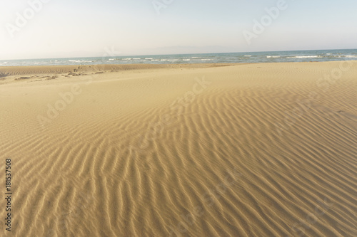 sand dunes as background