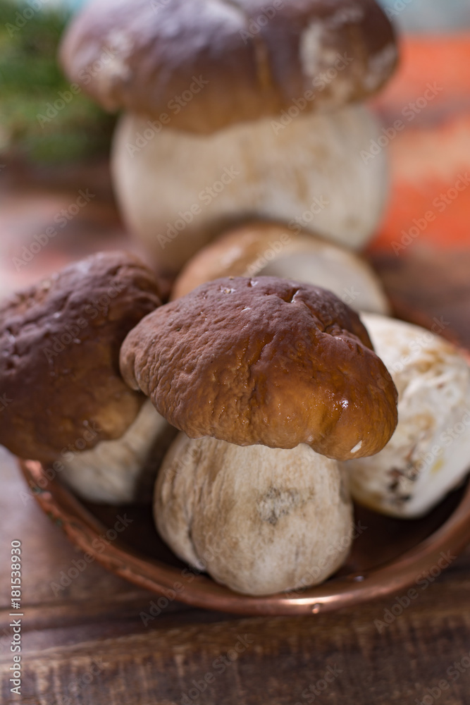 Wild edible raw mushrooms Boletus Edulis, tasty ingredient for many vegetarian dishes, close up.. Wild edible raw mushrooms Boletus Edulis, tasty ingredient for many vegetarian dishes, close up..