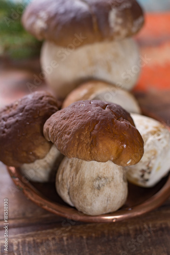Wild edible raw mushrooms Boletus Edulis, tasty ingredient for many vegetarian dishes, close up..