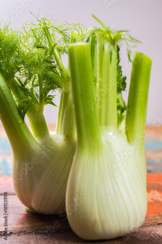 Fresh raw organic Florence fennel bulbs, close up