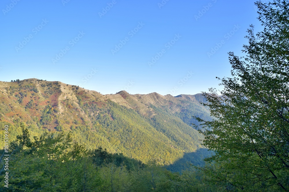 Montagne con boschi a macchia mediterranea