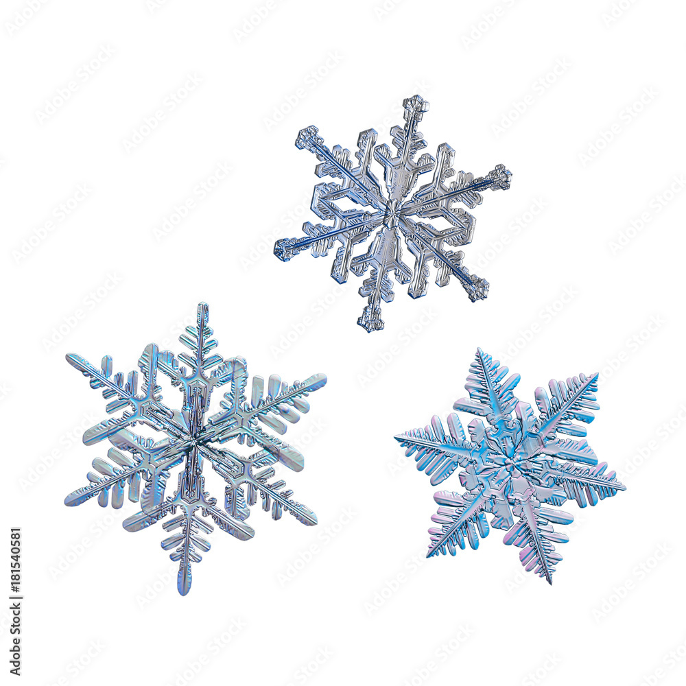 Three snowflakes isolated on white background. Macro photo of real snow crystals: small stellar dendrites with glossy surface, fine hexagonal symmetry and long, elegant arms with many side branches. Three snowflakes isolated on white background. Macro photo of real snow crystals: small stellar dendrites with glossy surface, fine hexagonal symmetry and long, elegant arms with many side branches.