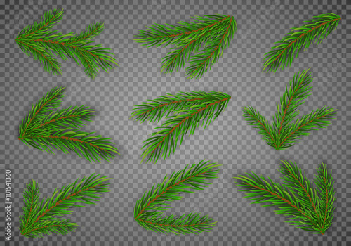 Tableau sur toile Set of fir branches. Christmas tree, pine. Vector Eps10