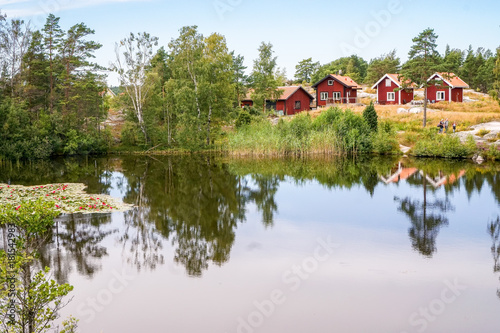 Red lilies and some red cottages on the island Harstena in st. Anna archipelago, Sweden