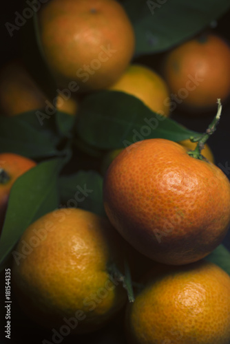 Sicilian tangerines with leaves