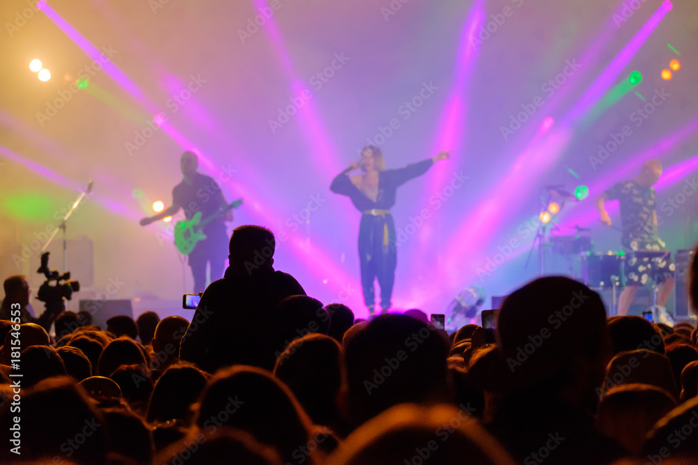 Audience cheering at live concert