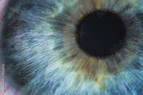An enlarged image of eye with a blue iris, eyelashes and sclera. the shot is made by a slit lamp with a built-in camera
