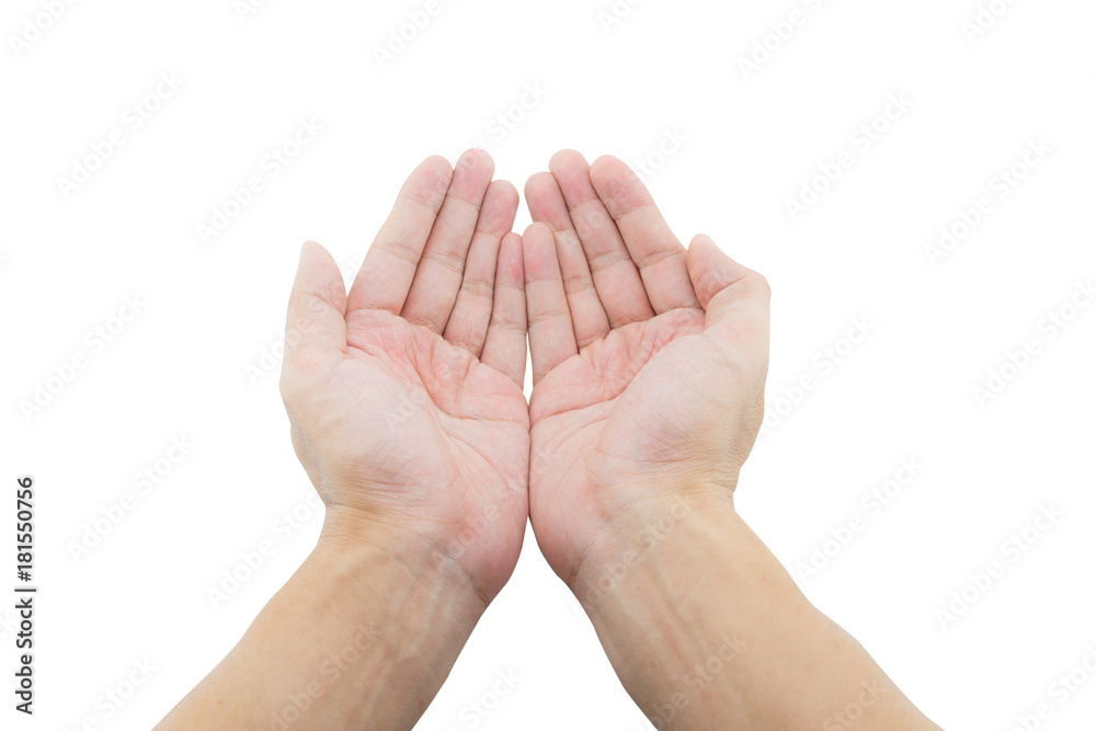 Two open empty hands with palms up, isolated on white background