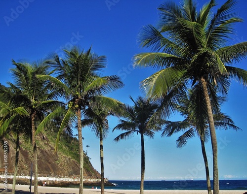 Die Palmen an der Copacabana