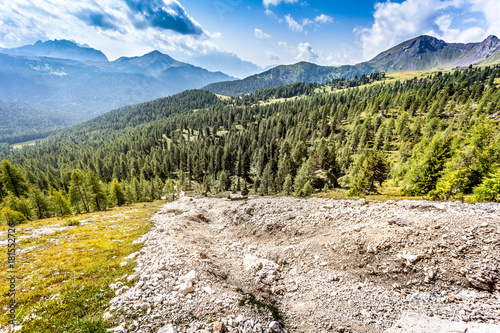 Debris flow over a forest, Dolomites, Italy