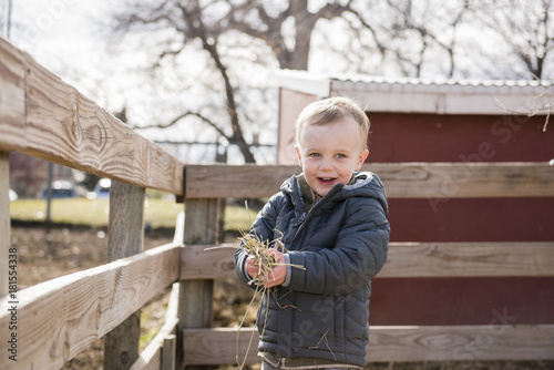 Toddler Boy Visiting a Local Urban Farm and Feeding the Cows with Hay