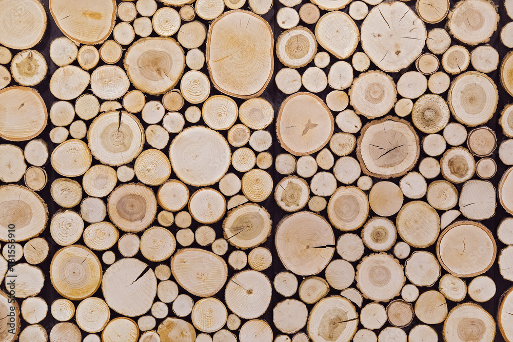 pieces of round teak wood stump background pieces of round teak wood stump background