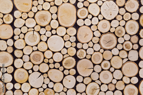 pieces of round teak wood stump background