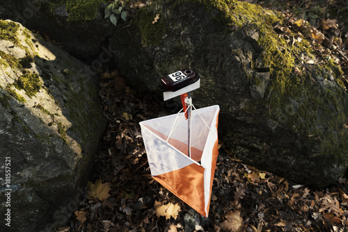 Obraz na plátne Control Point Forest Orienteering