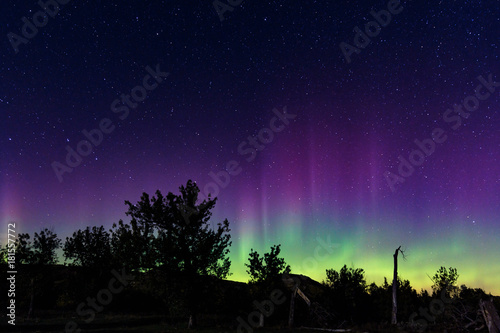 My First Aurora