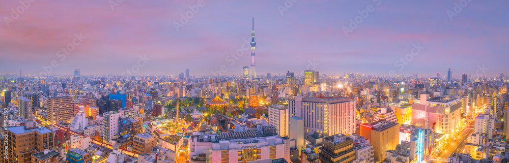 Naklejka premium Panorama strzału panoramę miasta Tokio