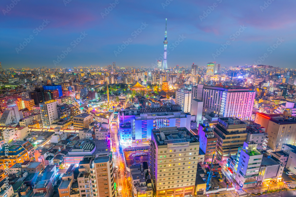 Naklejka premium Panorama shot of Tokyo city skyline