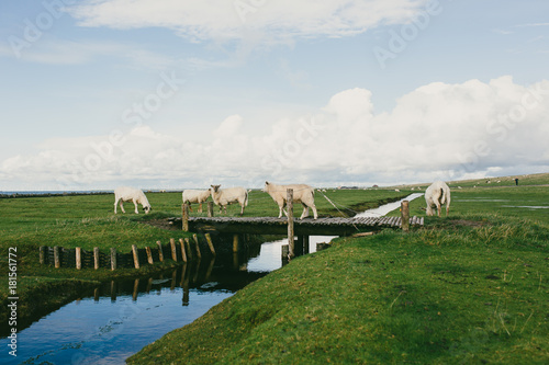 Impressionen aus Nordfriesland