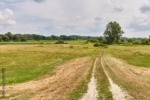 Barren field in the countryside