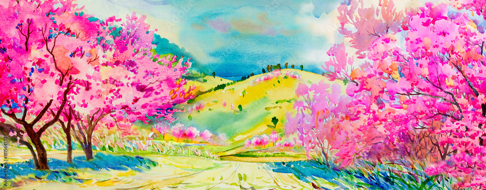 Obraz Malowanie różowym kolorem dzikich kwiatów wiśni himalajskich