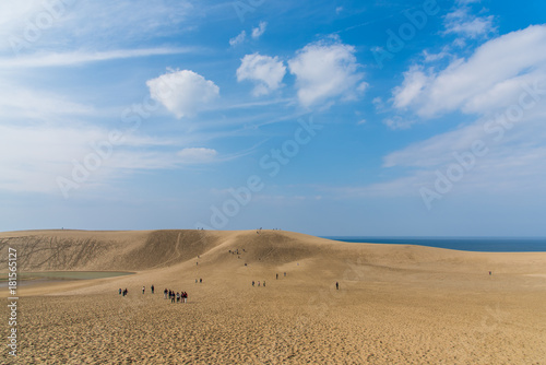 Tottori Sand Dunes  Japan