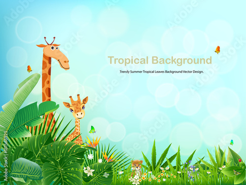 Tropical island spring of beautiful plants green and adstract bachgrounds. photo