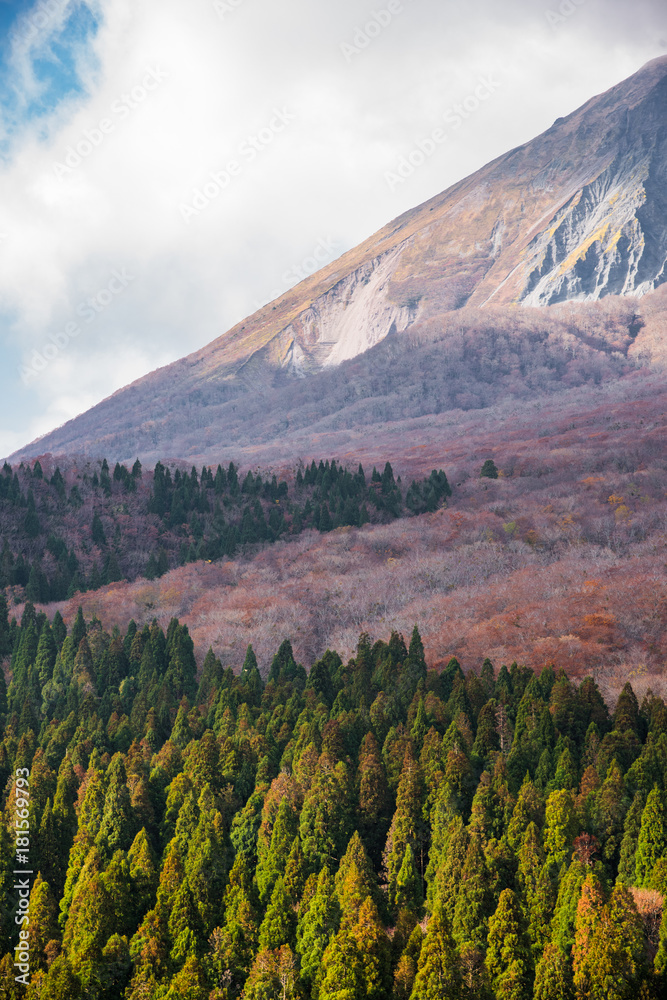 Fototapeta premium Autumn in Tottori, Japan
