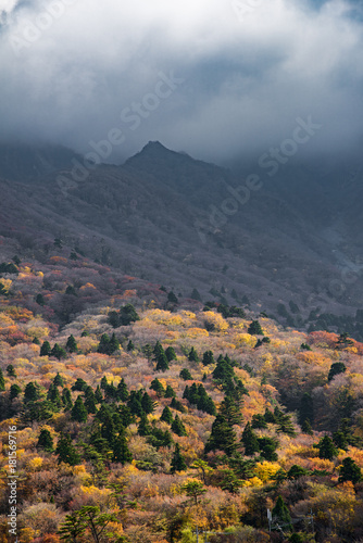 Autumn in Tottori  Japan