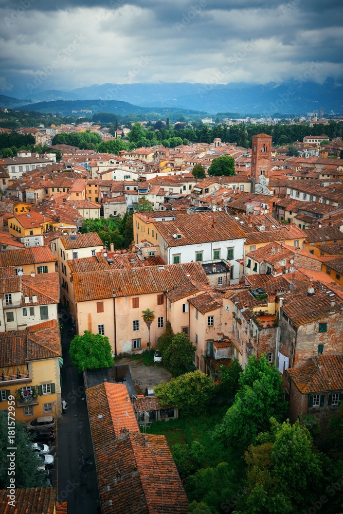 Lucca rooftop view with mountain