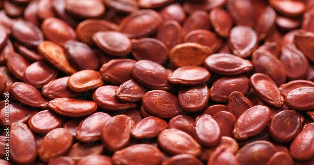 Stack of red dry melon seed Stack of red dry melon seed