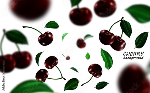 Falling black cherries elements, realistic cherry background on white in 3d illustration