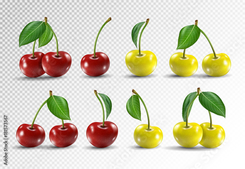 Cherry realistic fruit vector icons set. Vector illustration on transparent background