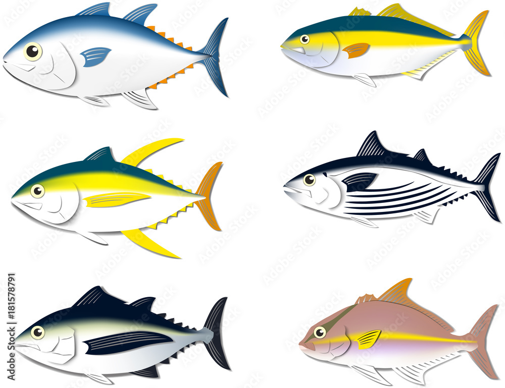 ブリ マグロ系 ペーパークラフト風イラスト ベクター Stock ベクター Adobe Stock