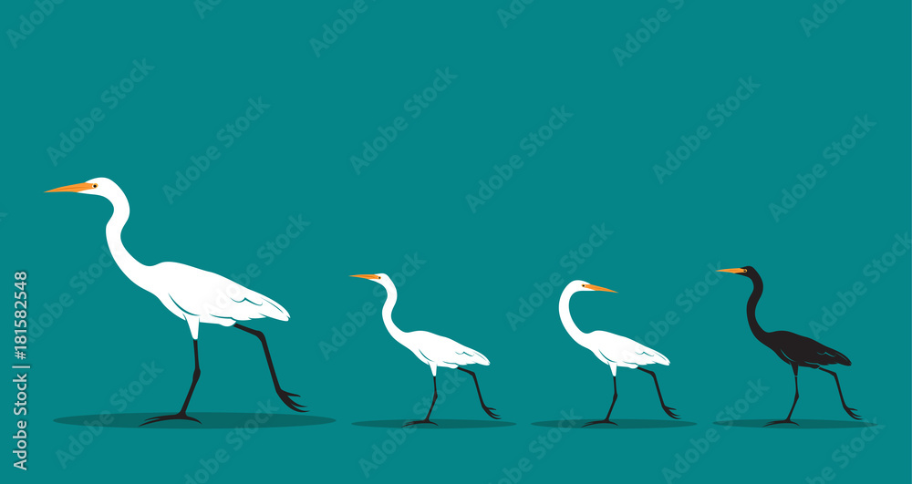 Obraz premium Vector of walking bird on blue background, Difference concept. Animal Idea.