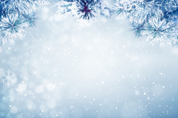 Winter background, falling snow on pine tree branches copy space, Christmas holiday background
