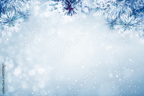 Winter background, falling snow on pine tree branches copy space, Christmas holiday background © Mariusz Blach