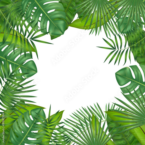 Realistic Detailed Green Leaves of Plants. Vector